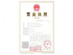 麥斯達營業(yè)執(zhí)照副本